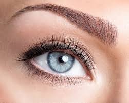 Teinture de Cils